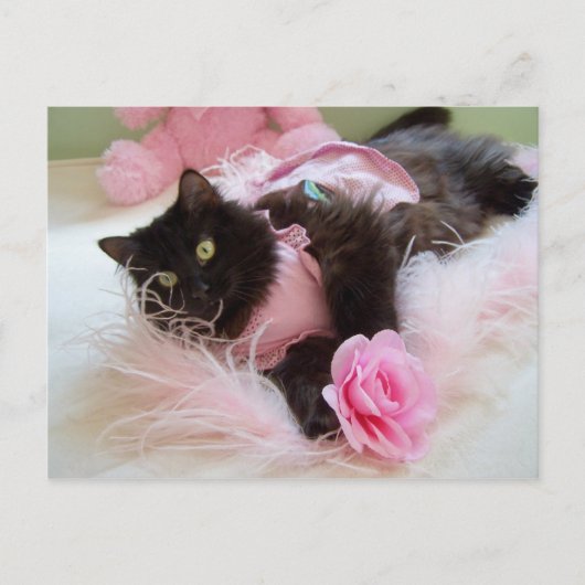 Wink pour carte postale rose (Devant)