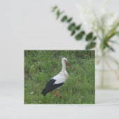 Winkel 1 briefkaart (Staand voorkant)