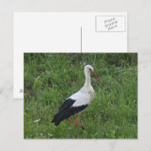 Winkel 1 briefkaart (Voorkant / Achterkant)