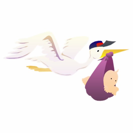 Winkel die een Baby levert Staand Fotobeeldje (Voorkant)