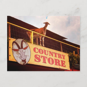 winkelgeit op het dak briefkaart