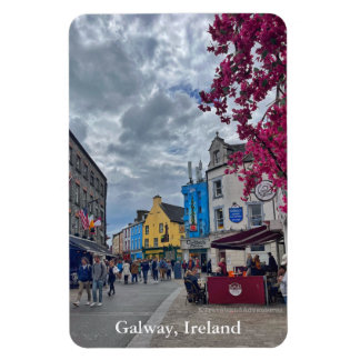 Winkelstraat in Galway, Ierland Magneet