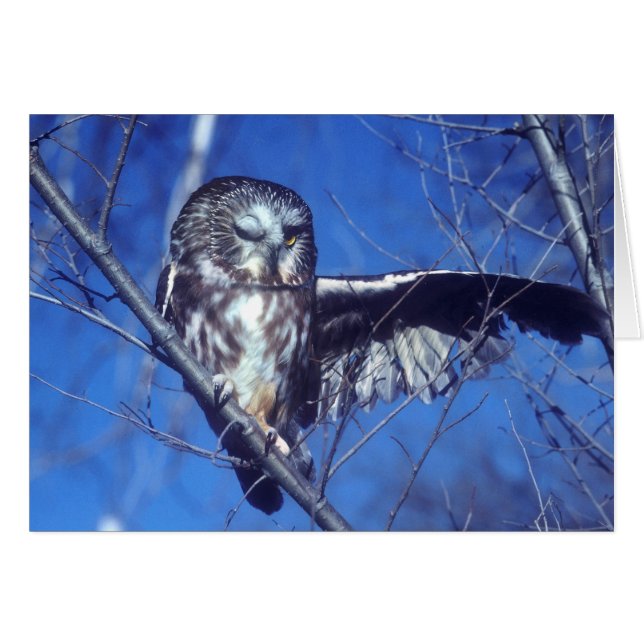 Winkeluil (Voorkant Horizontaal)
