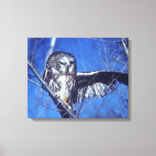 Winkeluil Canvas Afdruk