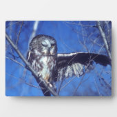 Winkeluil Fotoplaat (voorkant)