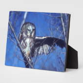 Winkeluil Fotoplaat (Zijkant)