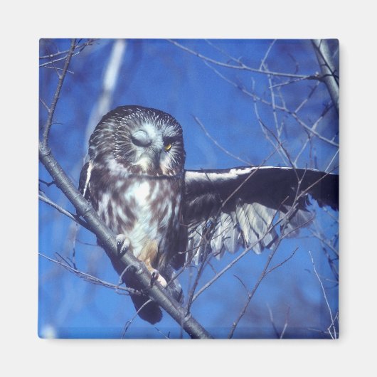 Winkeluil Magneet (Voorkant)