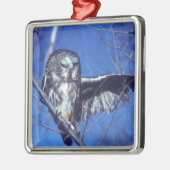 Winkeluil Metalen Ornament (Links)