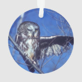 Winkeluil Ornament (achterkant)