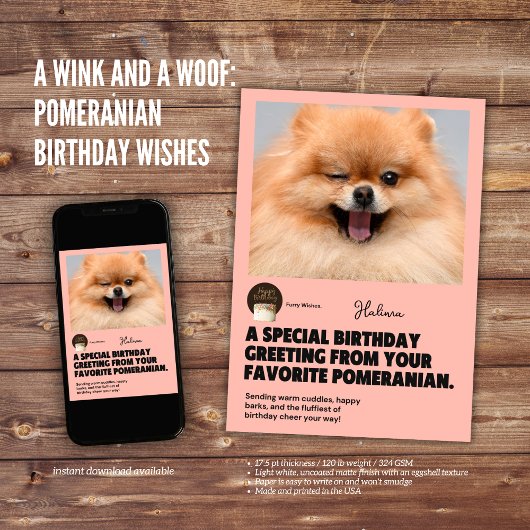 Winking Pomeranian Birthday Kaart