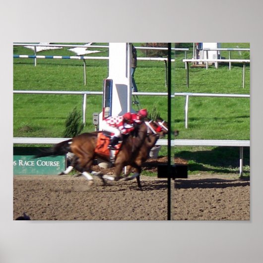 Winnaar door een Poster met neus (Voorkant)