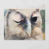 Winnend Owl Briefkaart (Voorkant)