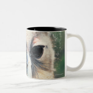 Winnend Owl Tweekleurige Koffiemok