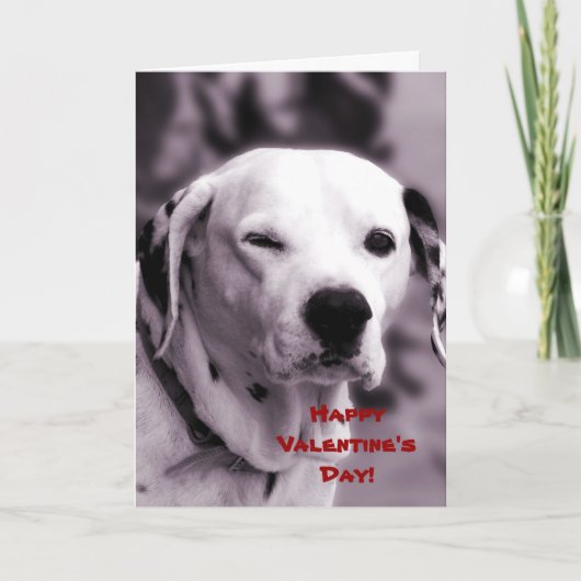 Winnende Dalmatische Valentijn-ziekteverzekeringsk Feestdagen Kaart (Voorkant)