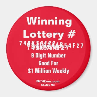 Winnende Lottery Number Magnet Magneet