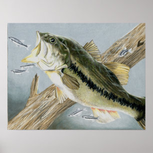 Winning Art by A. Backus Grade 12 Poster