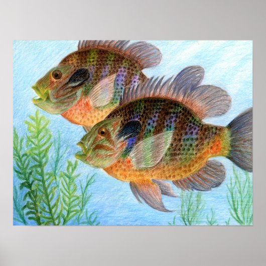 Winning art. E. Jiang - Grade 6 Poster (Voorkant)