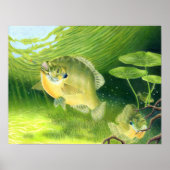 Winning artwork van R. Nelson, graad 7 Poster (Voorkant)