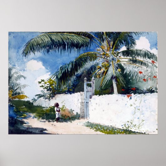 Winslow Homer A Garden in Nassau Poster (Voorkant)
