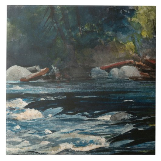Winslow Homer - De Rapids, de Hudson rivier Tegeltje (Voorkant)