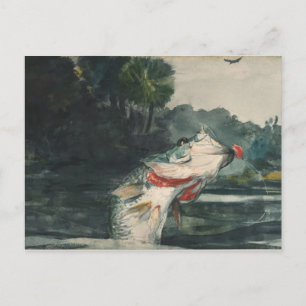Winslow Homer Life Size Black Bass Briefkaart