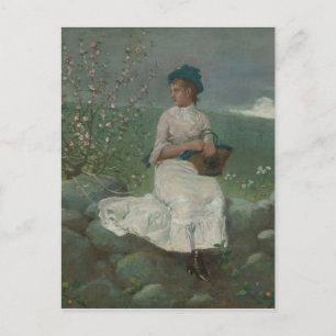  Winslow Homer Peach Blossom Briefkaart