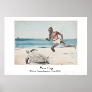 Winslow Homer - Poster "Rum Cay"