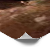 Winslow Homer's "Prout's Neck" - Afdrukken Poster (Hoek)