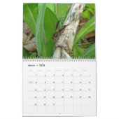 Winsome Wasps Calendar Kalender (Mar 2026)
