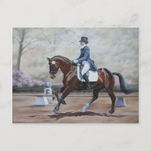Winsor in Dressage Briefkaart