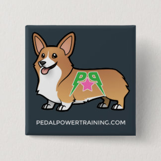 Winston-knop Vierkante Button 5,1 Cm