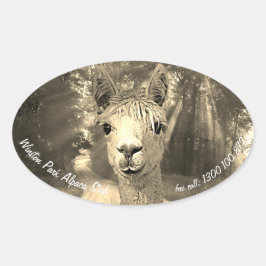 Winston Park Alpaca Stud Ovale Sticker
