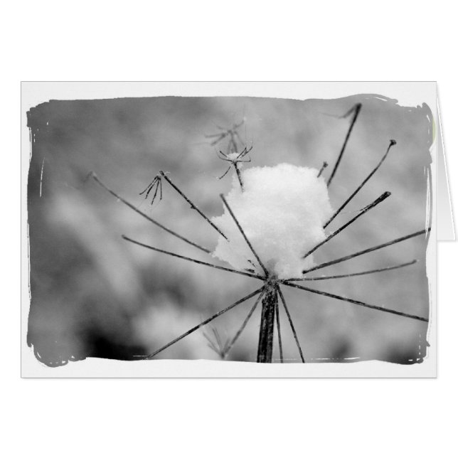 Winter (Voorkant Horizontaal)