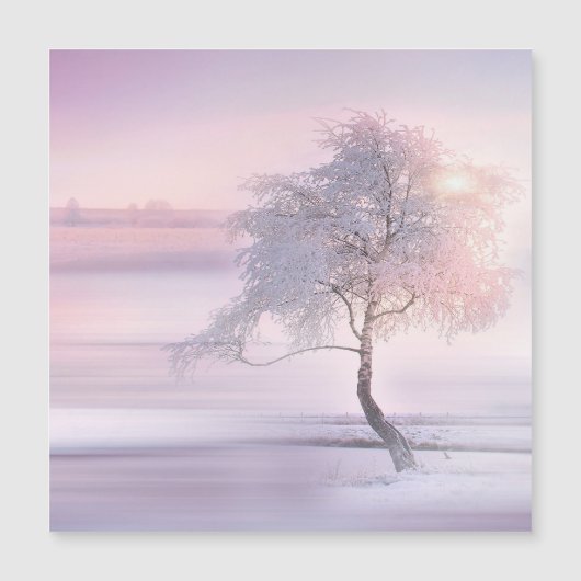 Winter 05 (Voorkant)