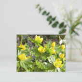 Winter Aconites briefkaart (Staand voorkant)
