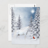 Winter appaloosa briefkaart (Voorkant / Achterkant)