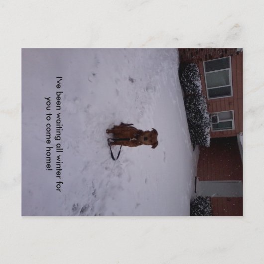 Winter Away Briefkaart (Voorkant)