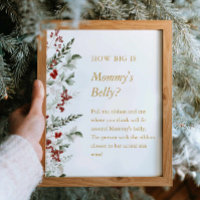Winter Baby shower Hoe groot is Mama's Belly Sign