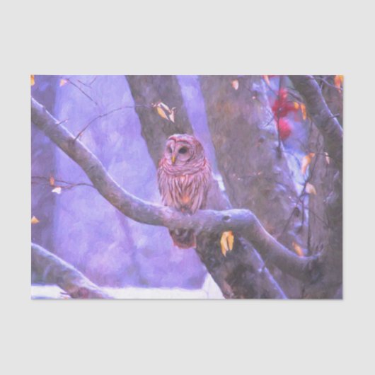 Winter Barn Owl Tissuepapier (Voorkant)