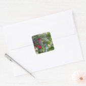 Winter Berry Vierkante Sticker (Envelop)