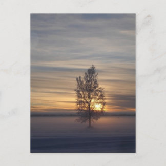 Winter bij Ft. Wainwright Briefkaart