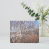 Winter Birch Forest Briefkaart (Staand voorkant)