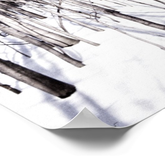 Winter Birch, Tree Snow Forest Branches Natuur Poster (Hoek)