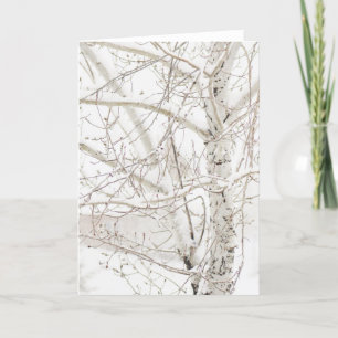 Winter Birch Tree - voeg uw aangepaste groet toe Feestdagen Kaart