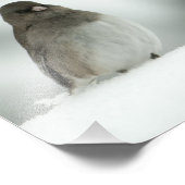 Winter Bird Foto Afdruk (Hoek)