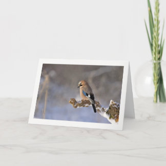 Winter Bird Greeting Card Feestdagen Kaart