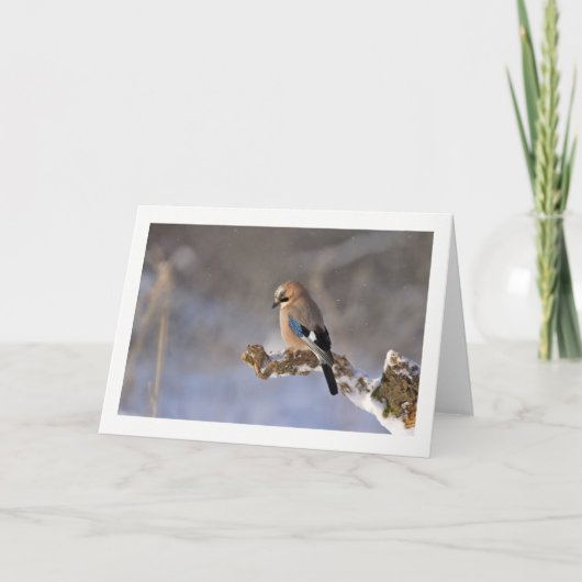 Winter Bird Greeting Card Feestdagen Kaart (Voorkant)