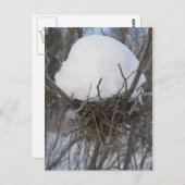 Winter Bird Nest Briefkaart (Voorkant / Achterkant)