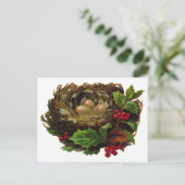 Winter Bird Nest Briefkaart (Staand voorkant)