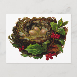 Winter Bird Nest Briefkaart